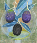 Tre stadier i olivens utveckling
